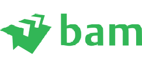 BAM Logo