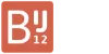 BIJ12 Logo