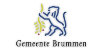 Gemeente Brummen Logo